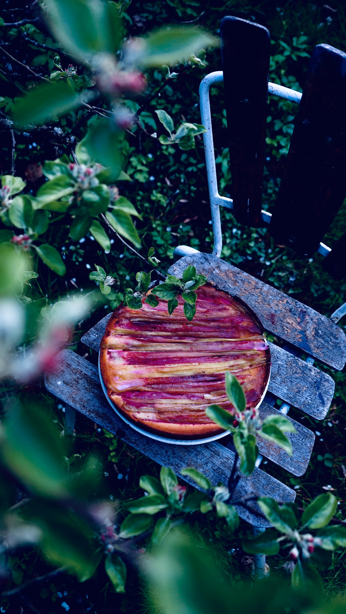 Boklansering FIKA i drivhuset på Fåbro Gård lørdagen den 20. september