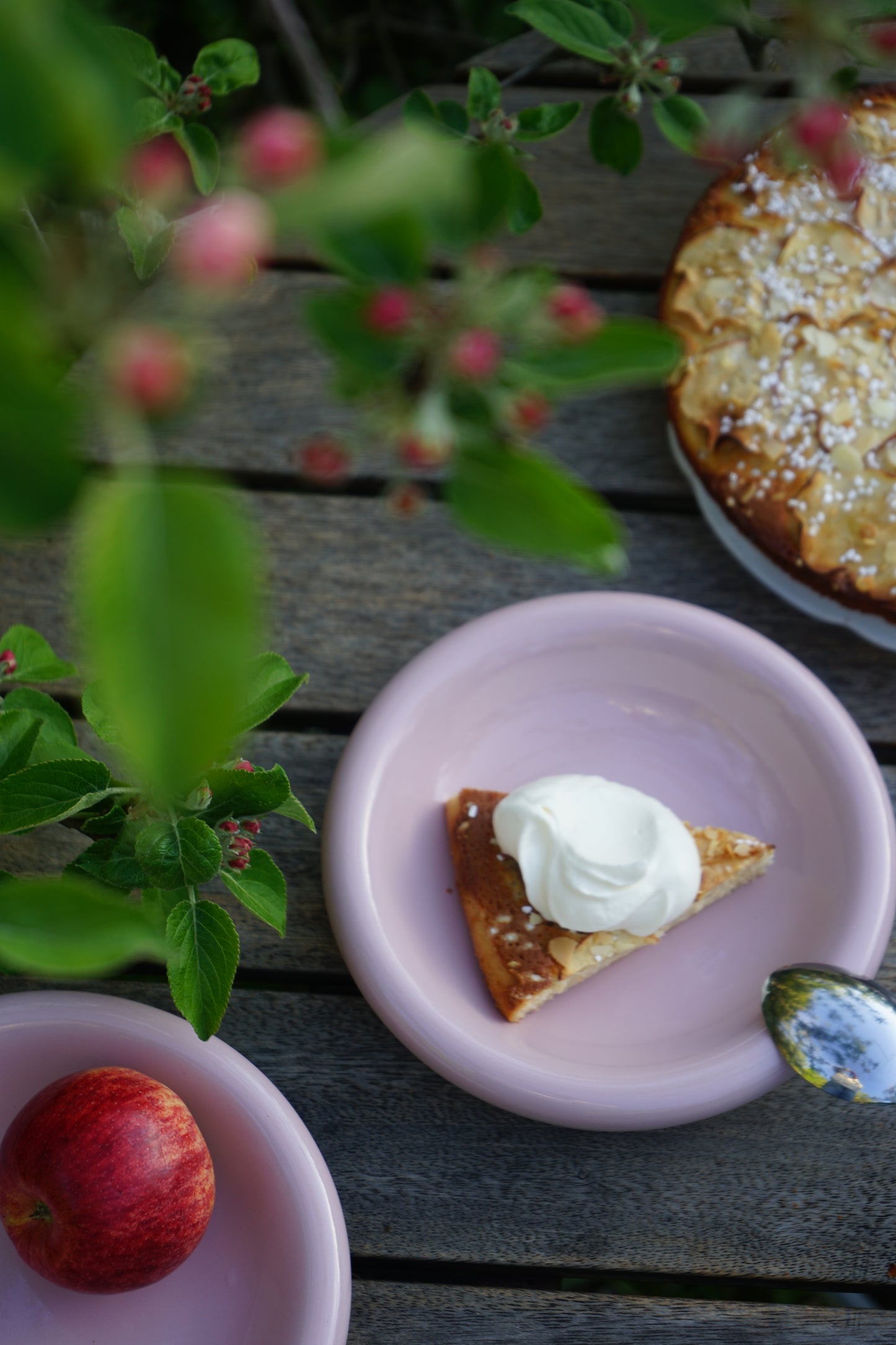 FIKA "Mine favoritt kaker"