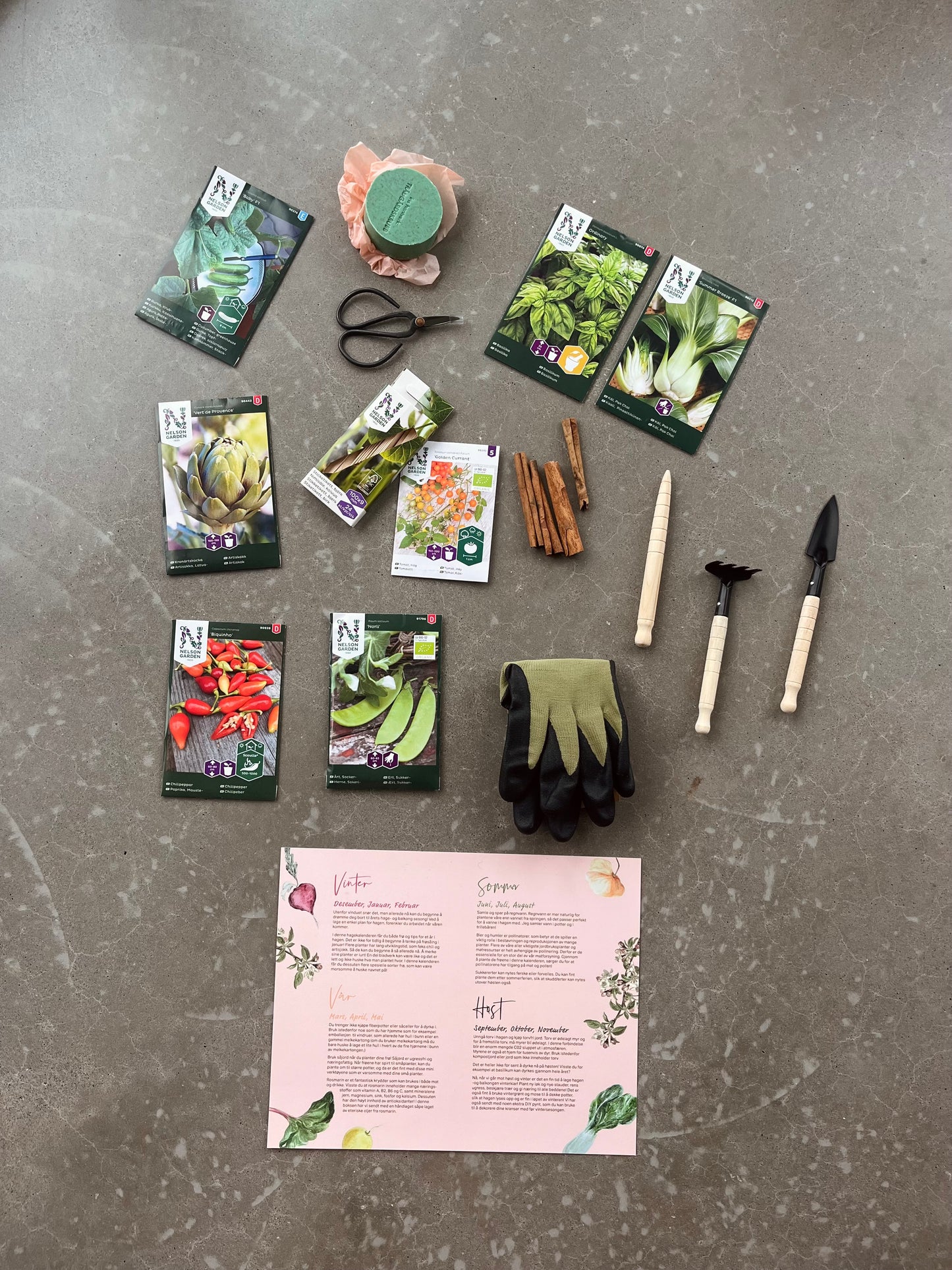 Plantekalenderen 2024 - En kalender med frø, planteverktøy og tips til hageåret!