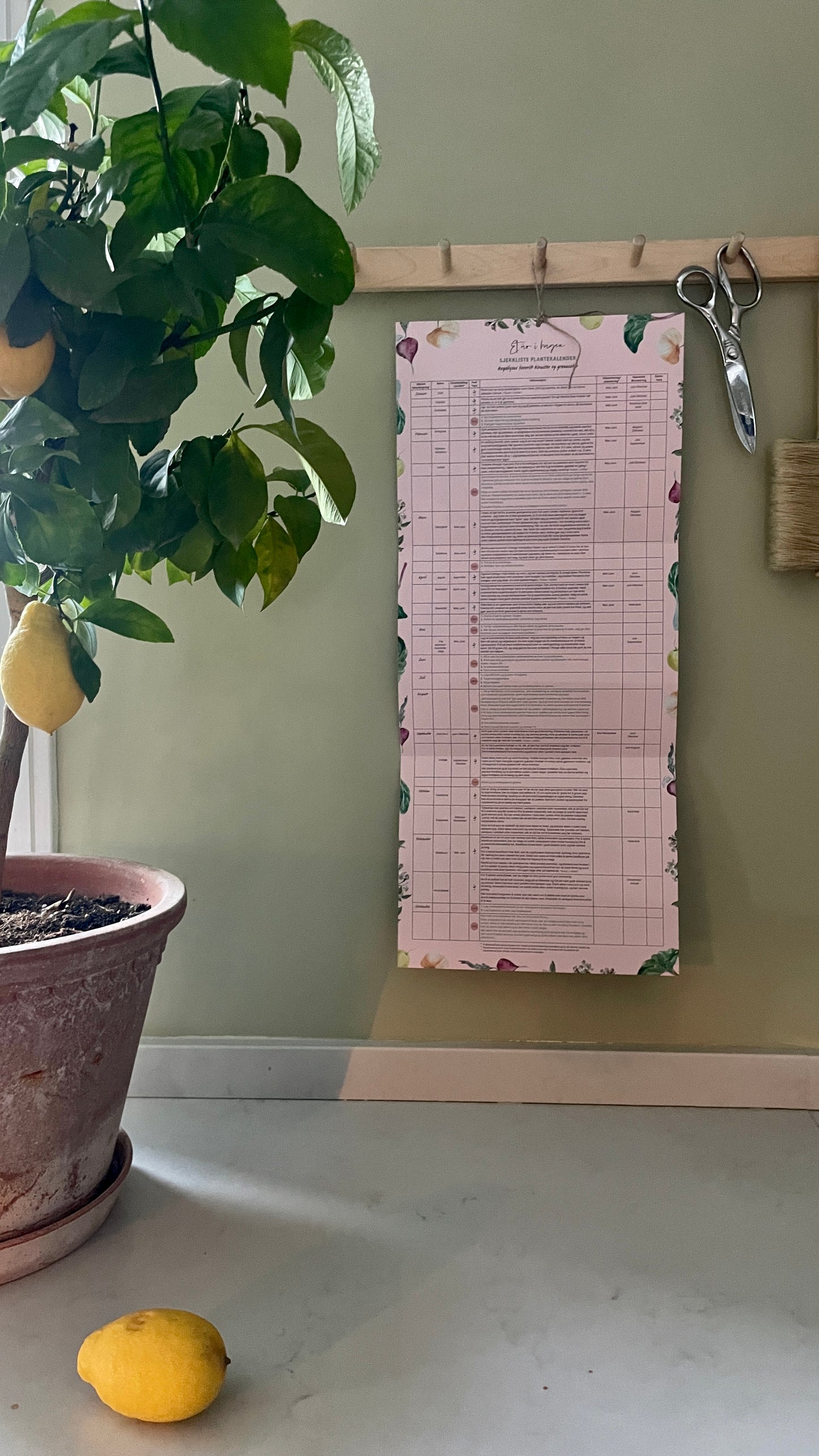 Plantekalenderen 2024 - En kalender med frø, planteverktøy og tips til hageåret!