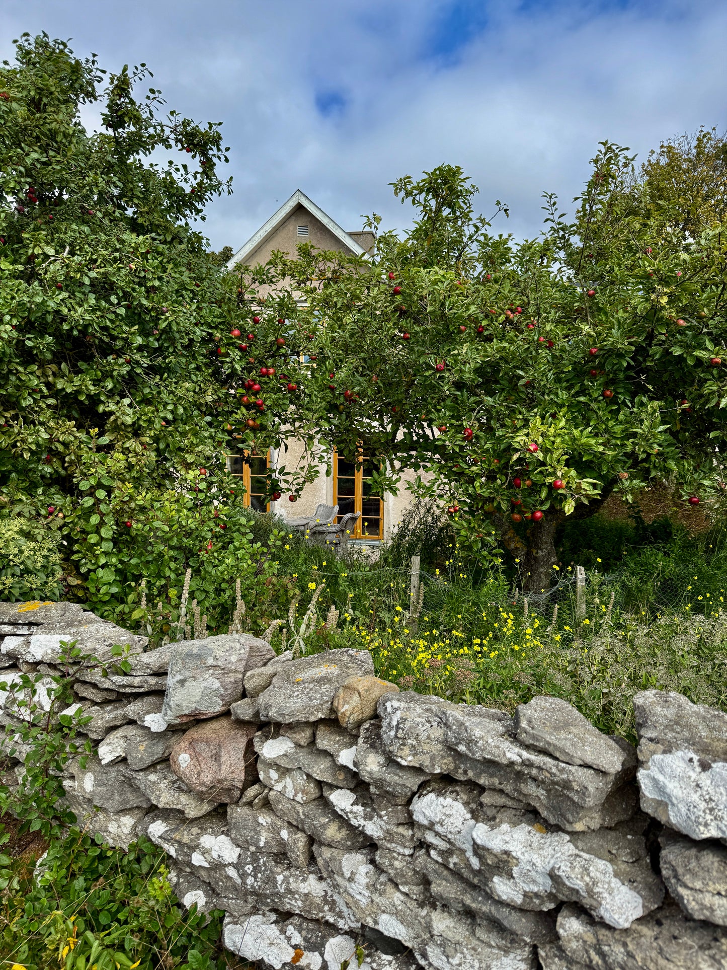 Bli med på en drømmereise til vakre Gotland september 2026. 4-7.september. Pris for hele oppholdet er 11 500 kr per person. Du betaler 3500 kr ved bestilling, resterende beløp betales 30.juni 2026.