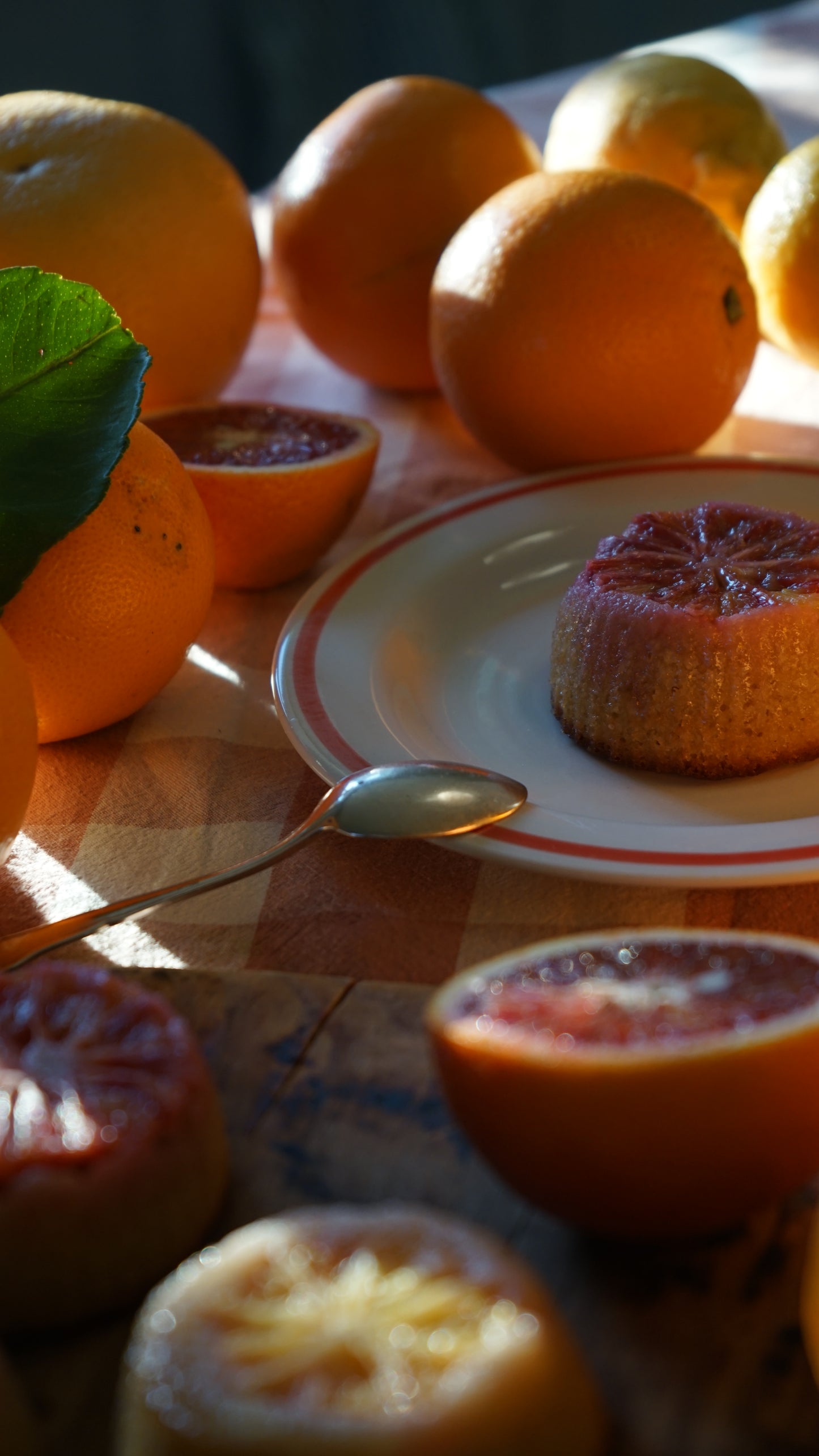 FIKA "Mine favoritt kaker"