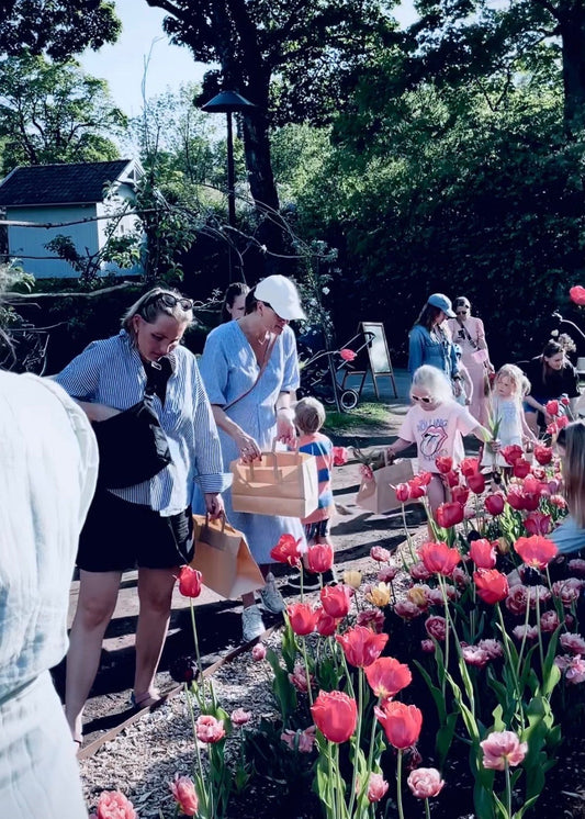 Selvplukk av tulipaner på Fåbro Gård onsdagen den 27. mai