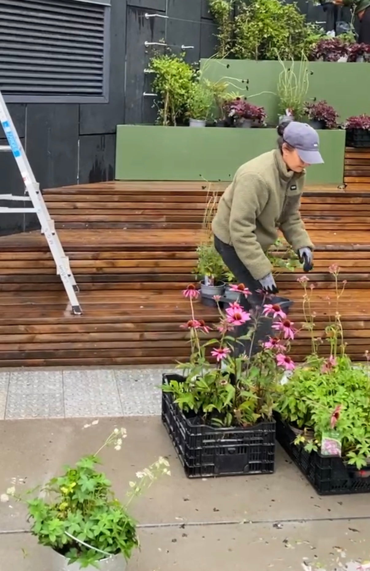 Kurs - Slik skaper du et vakkert staudebed 14. april 2026