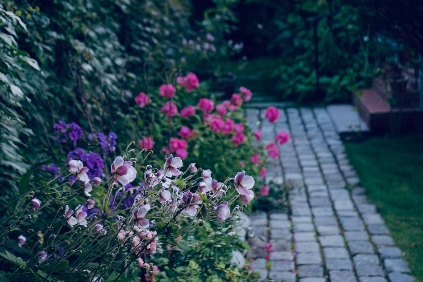 Kurs - Slik skaper du et vakkert staudebed 14. april 2026