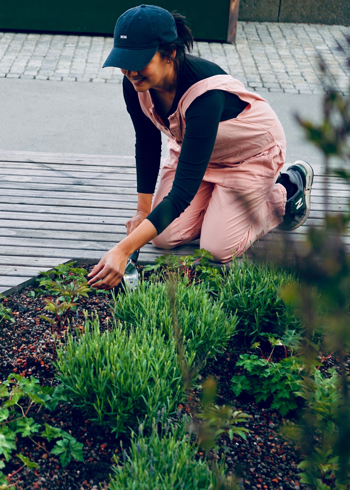Kurs - Slik skaper du et vakkert staudebed 14. april 2026