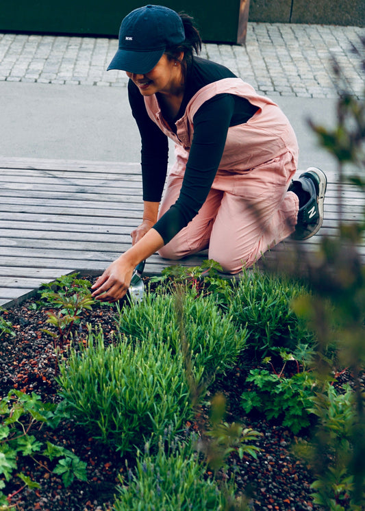 Kurs - Slik skaper du et vakkert staudebed 14. april 2026